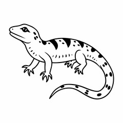 Fototapeta premium Black and White Lizard Illustration with Detailed