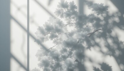 Captivating shadows of blossoms indoor setting nature photography bright environment artistic perspective serenity and calmness