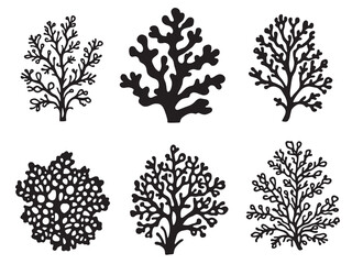 Fototapeta premium Edible Lichen line art showcases nature's wild food bounty 