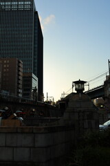 ToKyo city at sunset