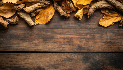 Tobacco dried leaves on wooden table top view