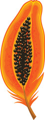 Fototapeta premium Papaya Art: A vibrant and appetizing illustration of a papaya, meticulously detailed, representing freshness and vitality, in a colorful artistic style.