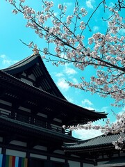 japanese temple in japan
