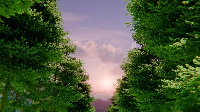Forest. Road through the forest. Green trees. 4K high quality loop