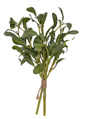 Snowflake green leaf bouquet cut out isolated transparent background