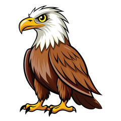 Eagle isolated clipart on white background