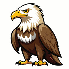 Eagle isolated clipart on white background