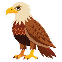 Eagle isolated clipart on white background