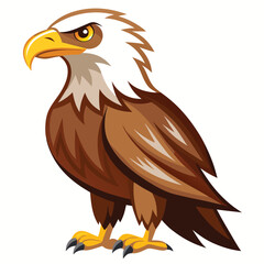 Eagle isolated clipart on white background