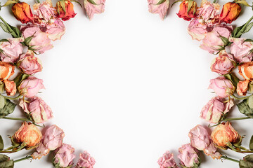 Dried roses laid out in circle on white background. Preservation of former beauty. Aesthetics of fading.