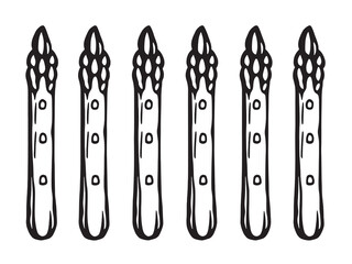Green Asparagus line art fresh healthy vegetable illustration 