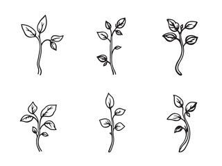 Fototapeta premium Green Beans Shoots Line Art Fresh Healthy Organic 