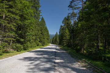 Fototapeta premium vista panoramica sulla strada della Val Saisera, nel Friuli Venezia Giulia nord-orientale, in Italia, circondata da alti ed antichi abeti verdi, di giorno, in estate