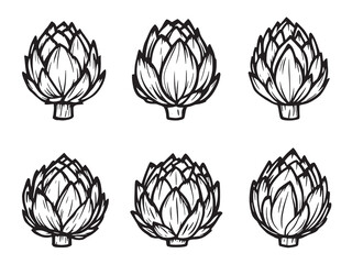 Jerusalem Artichoke line art with earthy tones and delicate strokes 