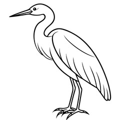 Obraz premium black swan vector illustration