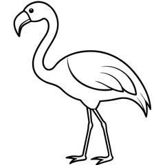 Obraz premium black swan vector illustration