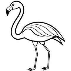 black swan vector illustration