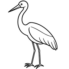 black swan vector illustration