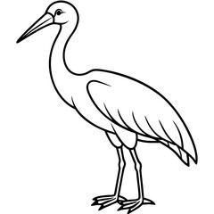 Fototapeta premium black swan vector illustration