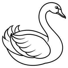 black swan vector illustration