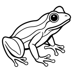 Line art collection of aquatic and wetland creatures, featuring elegant and minimal illustrations of fish, amphibians, birds, and aquatic animals. Perfect for nature-themed designs, educational materi