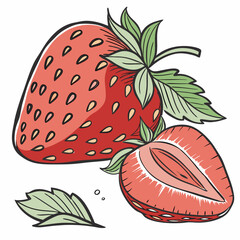 vector illustration of a strawberry
