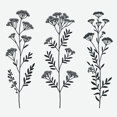 plant, illustration, flora, flower, design, stem, spr
ing, bloom, decoration, drawing, floral, blossom, sketch, background, graphic, drawn, nature, bloom, branch, floral, background, art, illustration