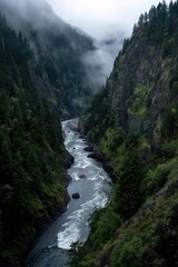 Rushing River Through Misty Forest Canyon: Natural Beauty