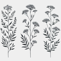 plant, illustration, flora, flower, design, stem, spr
ing, bloom, decoration, drawing, floral, blossom, sketch, background, graphic, drawn, nature, bloom, branch, floral, background, art, illustration