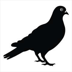 Black color pigeon silhouette vector graphics design.
