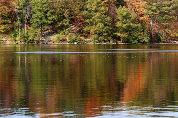Bond Lake fall color in Ontario