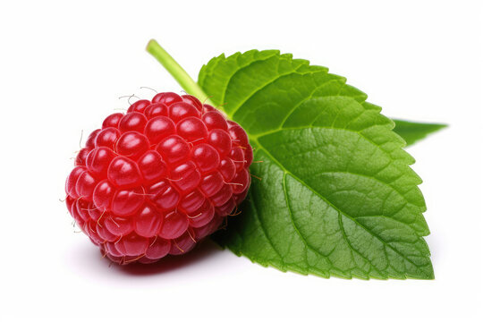 My Sweet Raspberry