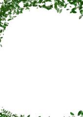 green leaves frame 