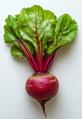 Fresh organic beetroot with vibrant green leaves and rich purple-red stem, isolated on white background, perfect for healthy food, vegetarian diet, and farm-to-table concepts