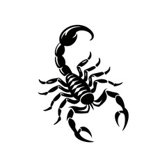 Hand drawn sketch of Scorpion tattoo animal vector 
