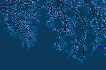 Minimalistic tree branch art against blue sky. Strong contrast silhouette with organic forms. Ideal for modern decor or conceptual nature visuals.