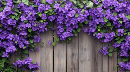 Fototapeta premium Vibrant Purple Flowers Against Rustic Wooden Background