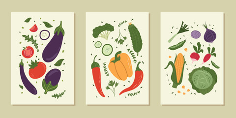 A set of modern posters with hand-drawn vegetables and herbs. Fashionable design for wall decor, postcards, covers and more. Vector design