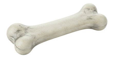 Fototapeta premium Isolated Dog Bone Toy