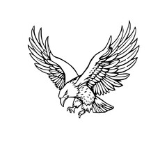 Obraz premium Black and white line drawing of an eagle with wings spread wide, descending with talons extended.