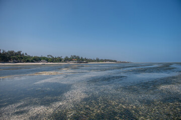 laguna u wybrzeży Mombasy w Kenii podczas odpływu © Kamil_k2p