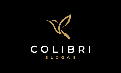 colibri logo vector icon illustration, hummingbird logo template