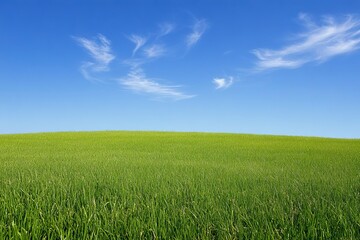Fototapeta premium horizontal shoot of pasture and sky