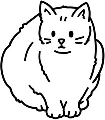 고양이