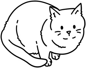 고양이