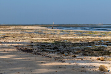 stary katamaran - tradycyjna kenijska ł&oacute;dź rybacka na Oceanie Indyjskim, zacumowana w lagunie u wybrzeżapodsczas odpływu. Okolice Mombasy, Kikambala, Kenia, Afryka