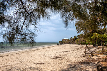pocztówkowy widok rajskiej plaży w Kenii © Kamil_k2p