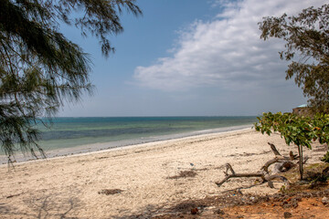 rajska plaża w Kenii nad brzegiem oceanu  © Kamil_k2p