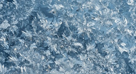 Fototapeta premium Intricate patterns of frost crystals glimmering in the winter sunlight on a cold surface