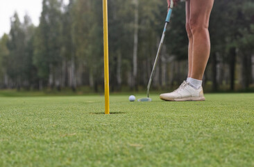 Golfer preparing to sink putt on green surrounded by trees